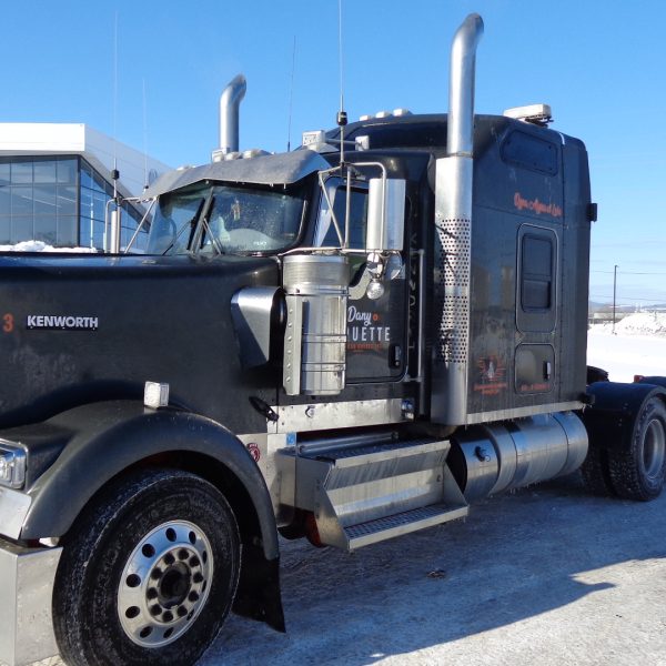 2020 Kenworth W900L 46 000 LBS NEWAY ADZ 246